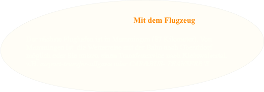 Der nächste Flughafen ist in Memmingen (87 Kilometer). Von  Memmingen ist  die Weiterreise mit der Bahn nach Oberstdorf möglich oder Sie nutzen einen Transferservice nach Kleinwalsertal.  z.B. airport-transfer-allgaeu oder CAR&BUS- TRANSFER‘S Mit dem Flugzeug
